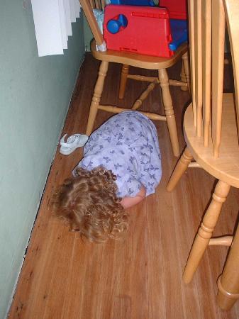 Savannah sleeping -part 3.jpg 25.4K
